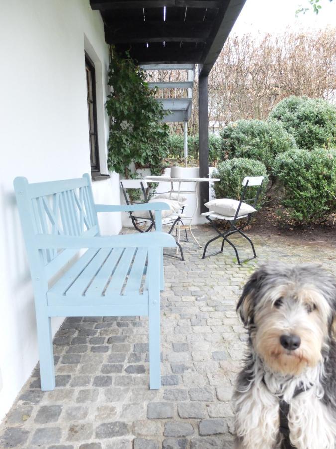 Gartenstudio-Apartment Tausendfreund - Adults Only - Am Chiemsee Breitbrunn am Chiemsee Extérieur photo